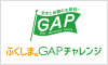 Fukushima. GAP Challenge