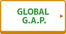 GLOBAL G.A.P.