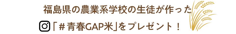 GAPに取り組む高校生が育てた｢＃青春GAP米｣をプレゼント！